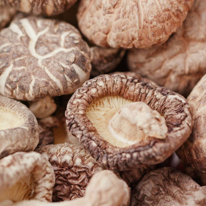 You never knew this about mushrooms